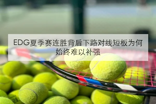 EDG夏季赛连胜背后下路对线短板为何始终难以补强